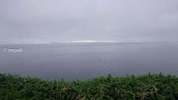 DSC_0021クジラの見える丘公園.jpg