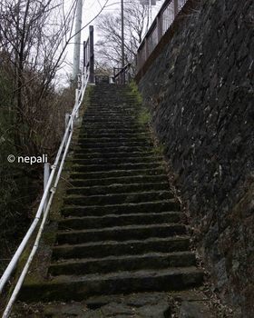 DSC_3672急な階段.jpg