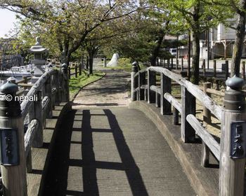 DSC_7002歴史を語る公園　日本橋.JPG