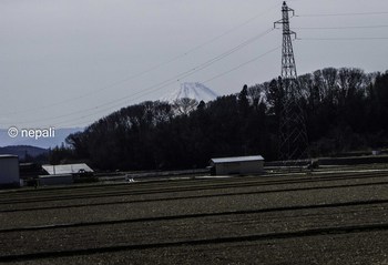 DSC_8168富士山.JPG