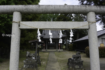 DSC_9299鷲宮神社.jpg