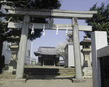 TKD_2734八幡神社.jpg